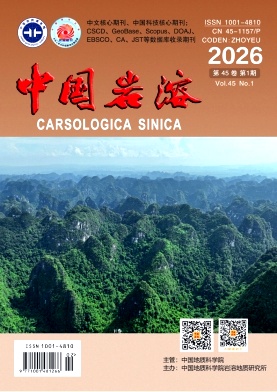 中国岩溶封面